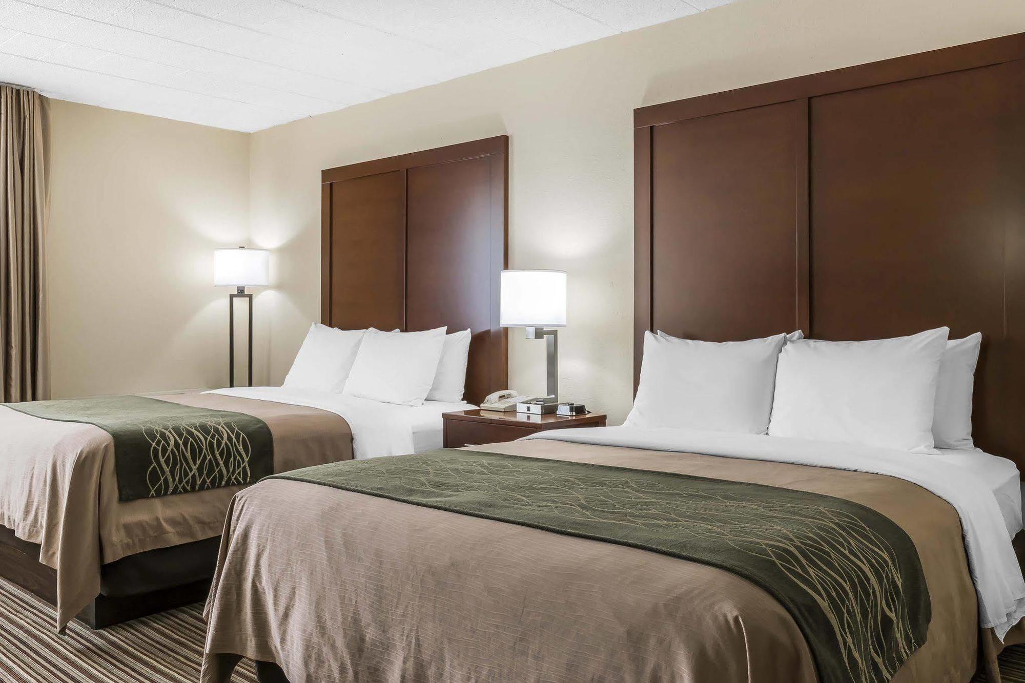 Comfort - Pocono Mountains White Haven
